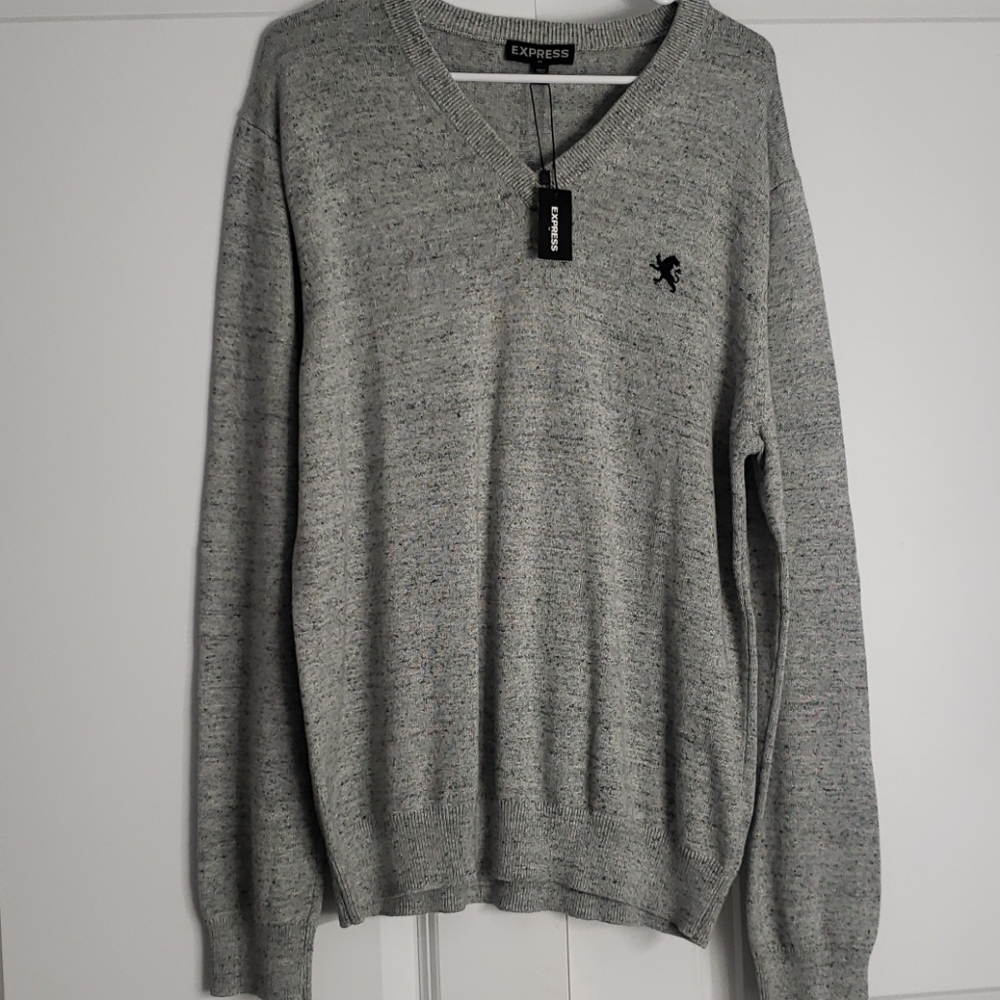 NWT Express Vneck Sweater